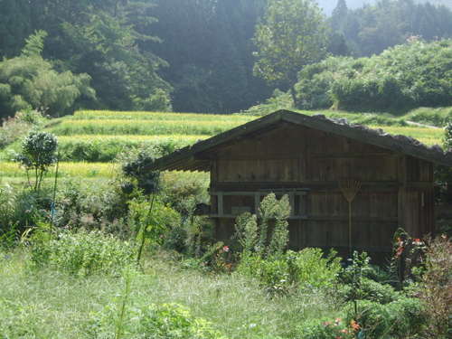 20080906_053
